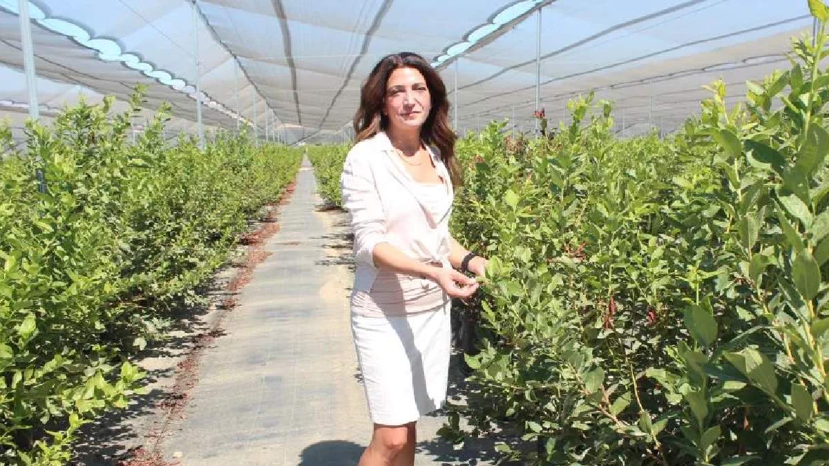 O meyveyle Amerika'da tanıştı hayatı değişti! Yılda 50 bin ton üretimle Türkiye'nin en büyük üçüncü çiftçisi oldu