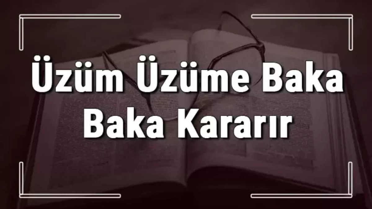 Üzüm Üzüme Baka Baka Kararır Ne Demek?