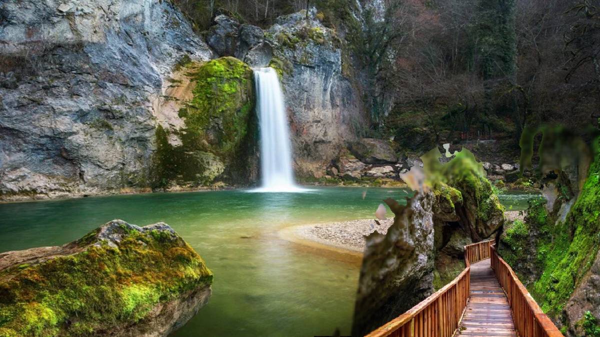 Bu köprüden ağaca çarpmadan çıkmak neredeyse imkansız! Hiçbir doğallığı bozulmamış! Akın akın görmeye gidiyorlar