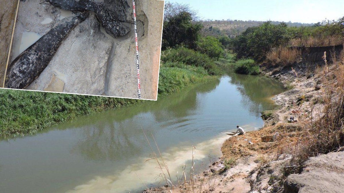 İnsanlığın ilk dönemine ait! Dünyanın en eski ahşap yapısı keşfedildi