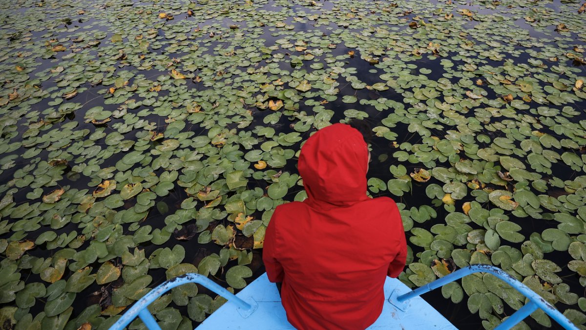 Tabloları aratmıyor: Beyşehir Gölü'ne ziyaretçi akını