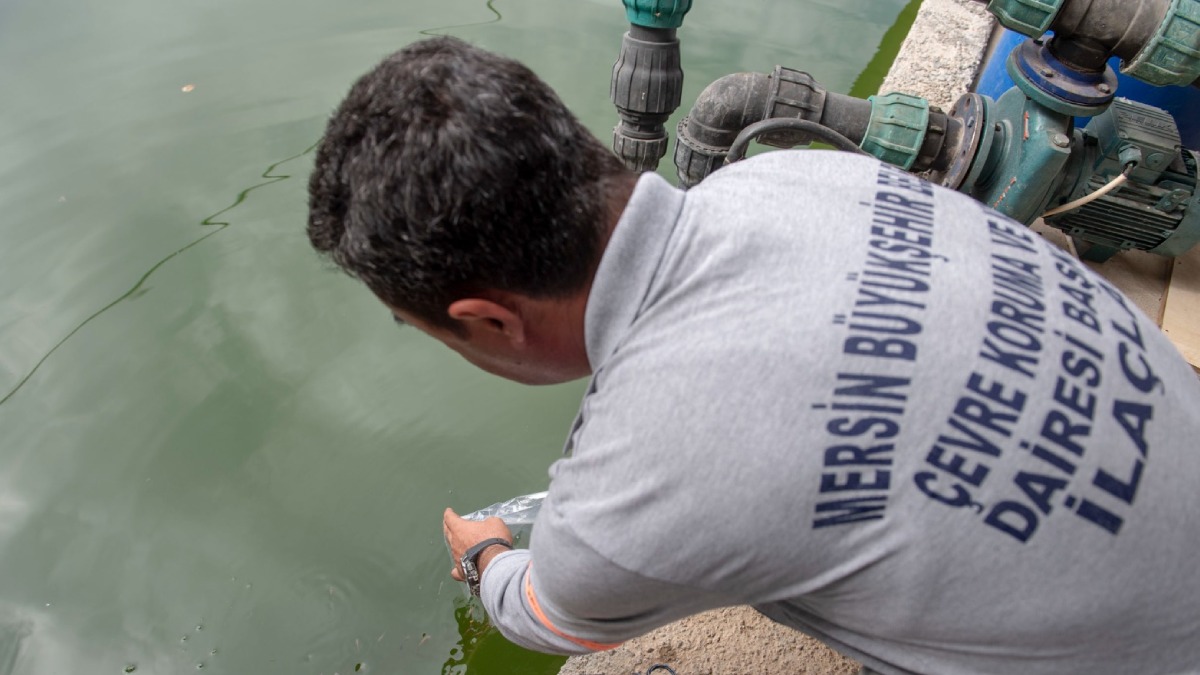 10 bin sulama göletine binlerce Lepistes balığı bırakıldı