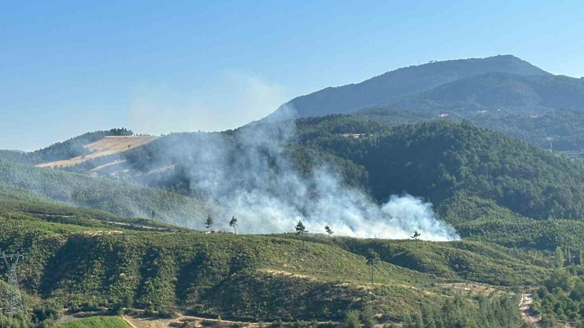 Denizli'de orman yangını