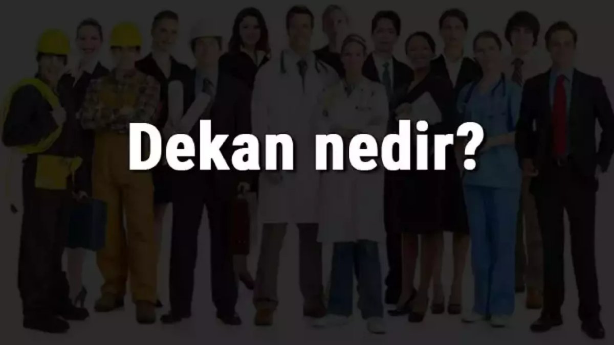 Dekan Nedir: Üniversitelerdeki Önemli Bir Görev