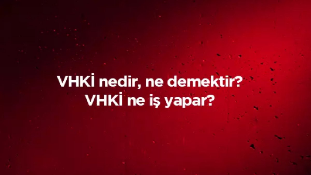 Veri Hazırlama ve Kontrol İşletmeni (VHKİ) Nedir?