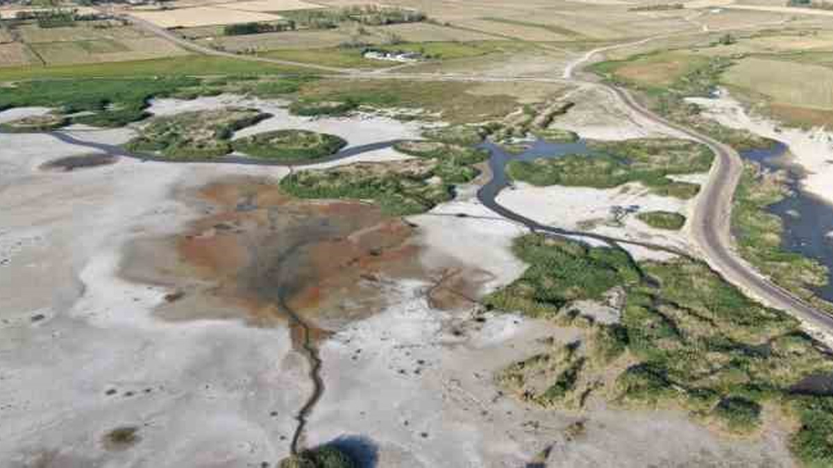 Kuş cenneti gölü kurudu!  Şimdi Van gölü için tehlike çanları çalıyor, gölün son hali içler acısı