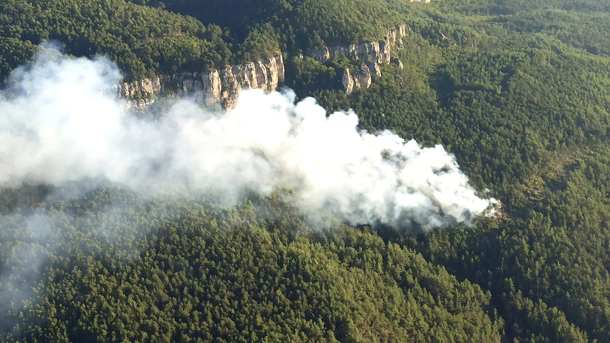 Karabük'te orman yangını! Müdahale sürüyor