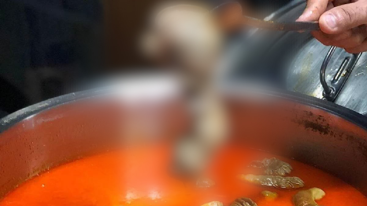 Adana’dan çıkıp tüm Türkiye’ye yayılmıştı! Herkes aşırı ilgi gösterirken kötü haber geldi…