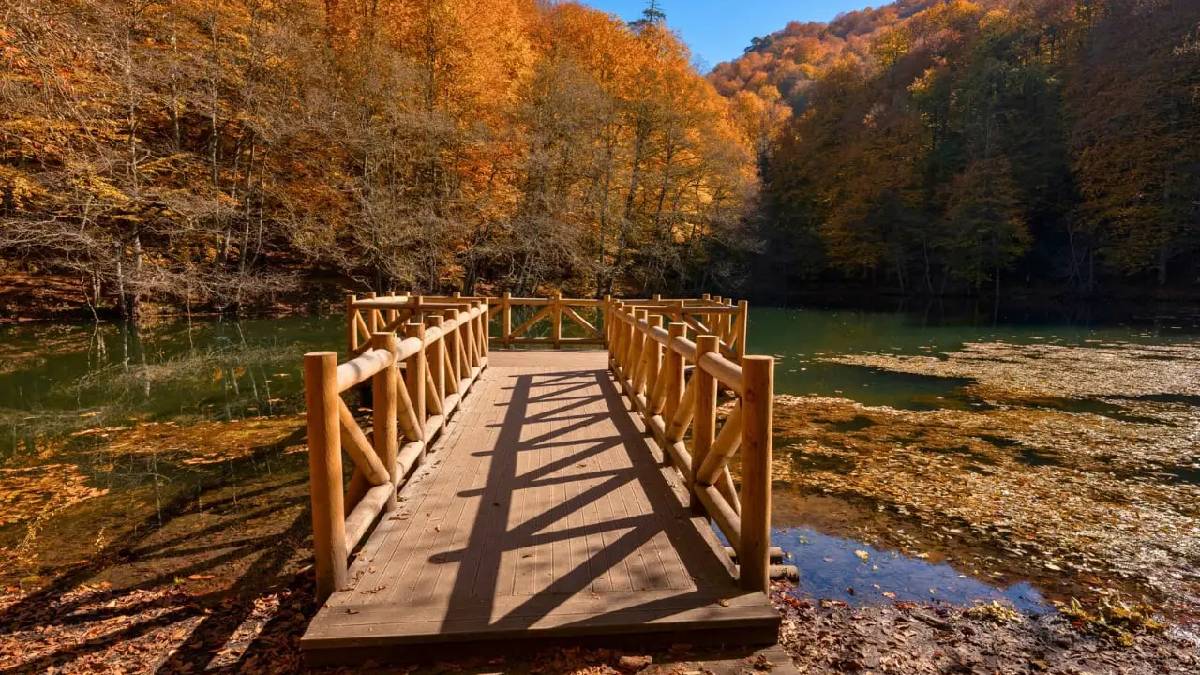 Buraya gidenler geri dönmek istemiyor! Resmen cennetten bir parça… Sonbahar en güzel burada yaşanıyor