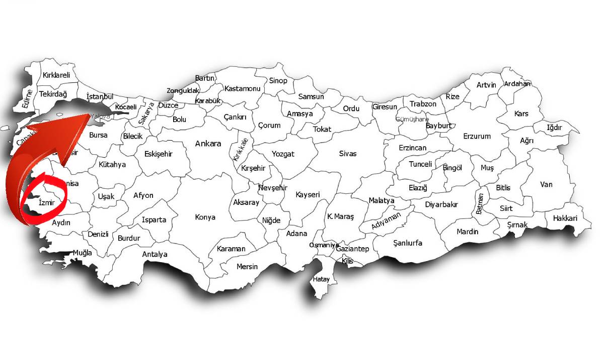 İzmir’den Marmara’ya sıçradı! Sürüler halinde tehlike saçıyorlar: Bir anda ortaya çıkıyorlar! Yetkililer apar topar tahliye etti