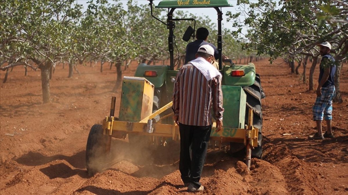 Tarla sulamada yüzde 50 su tasarrufu sağlıyor! Toprak altı damla sistemi hem yüksek faturaya hem de kuraklığa dur diyecek