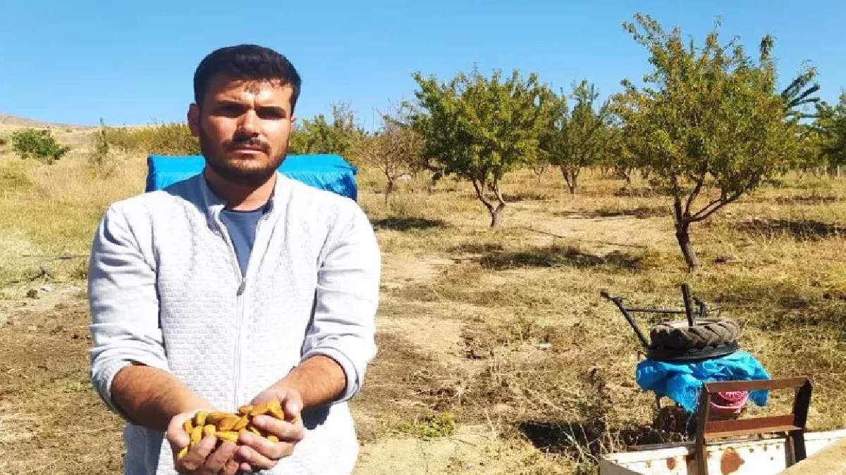 "Bozkırda olmaz" dediler, inatlarına imkansızı başardı! Genç girişimciden rekor hasat: 42 bin metrekarede katlanarak artıyor