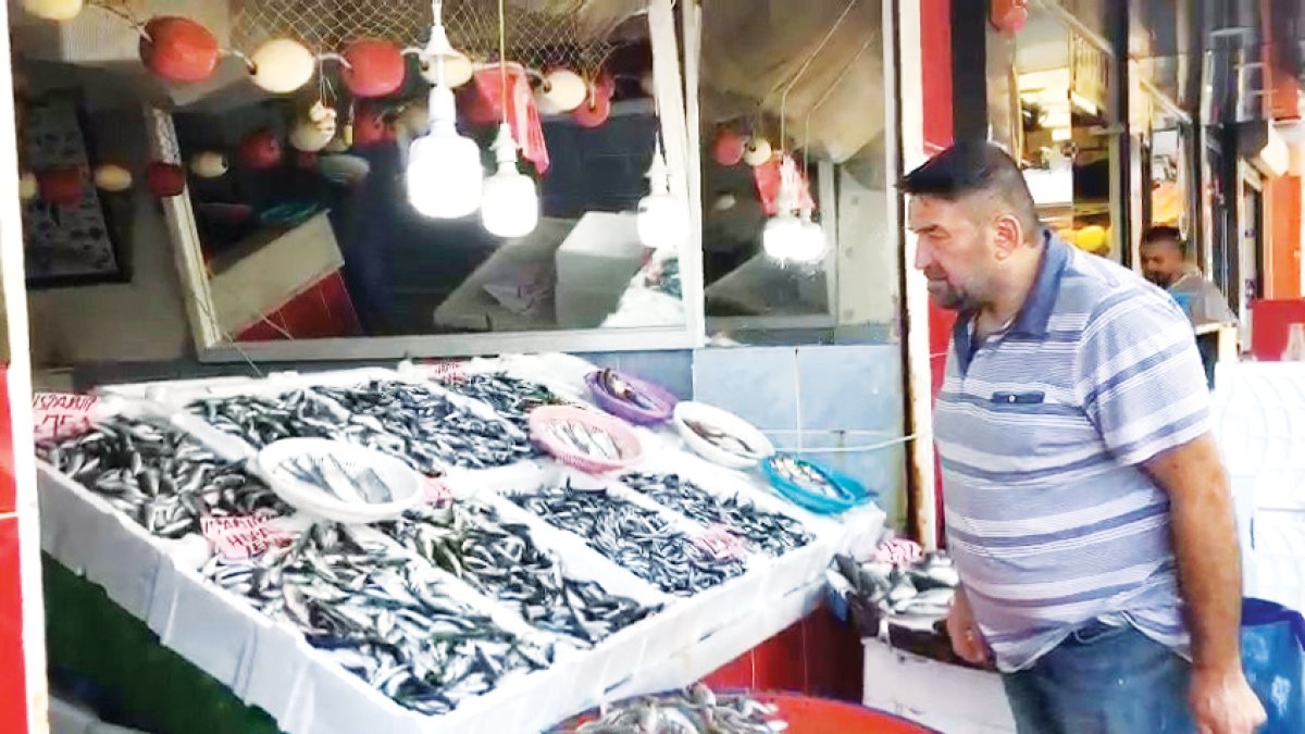 Halde bitmeyen hamsi kavgası