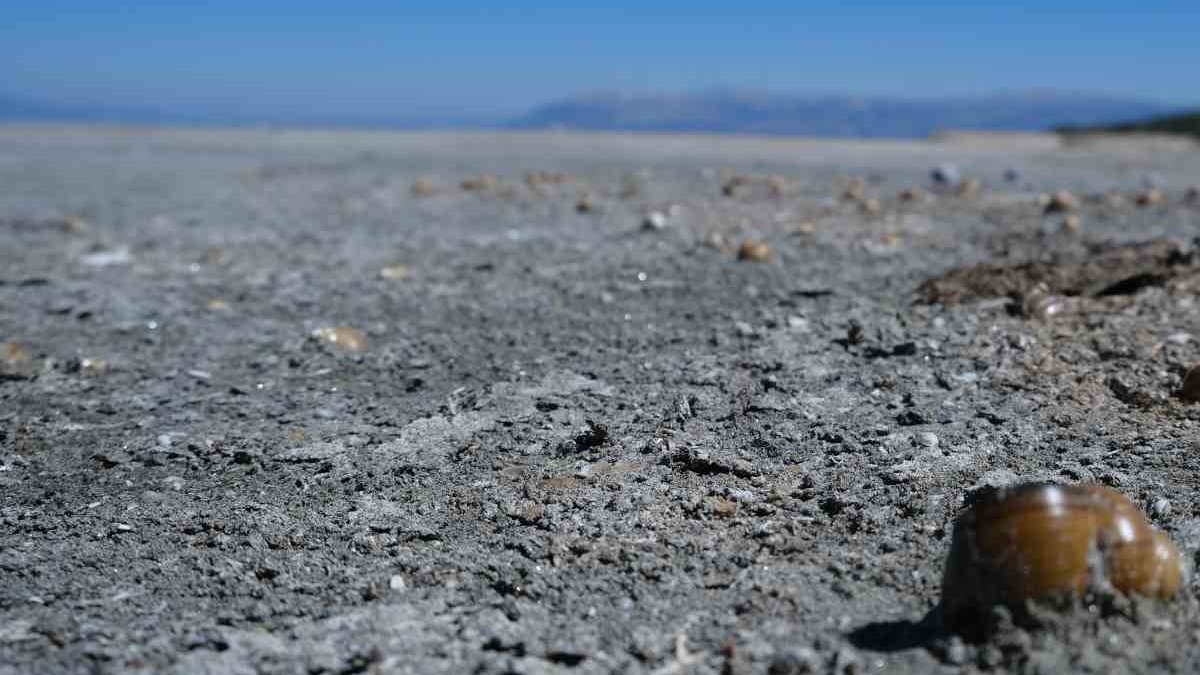 Eğirdir Gölü için alarm zilleri çalıyor: Su kullanımı azaltılmalı