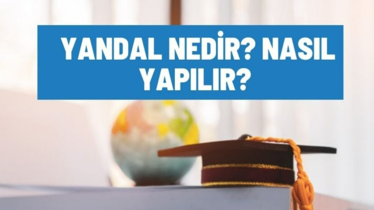 Yandal Nedir? - İş Dünyasında Yükselişin Anahtarı