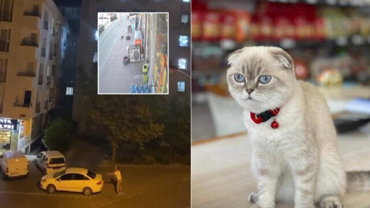 Esenyurt'ta kedi için silahlı çatışma: Yoldan geçen kurye vuruldu