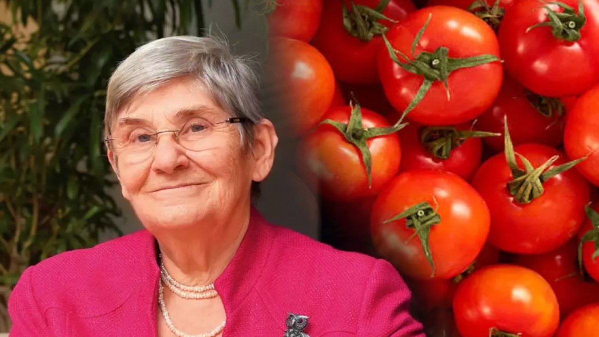 Canan Karatay yapay domateslere karşı uyardı! Böyleyse sakın tüketmeyin, kanser gibi birçok hastalığa neden oluyor