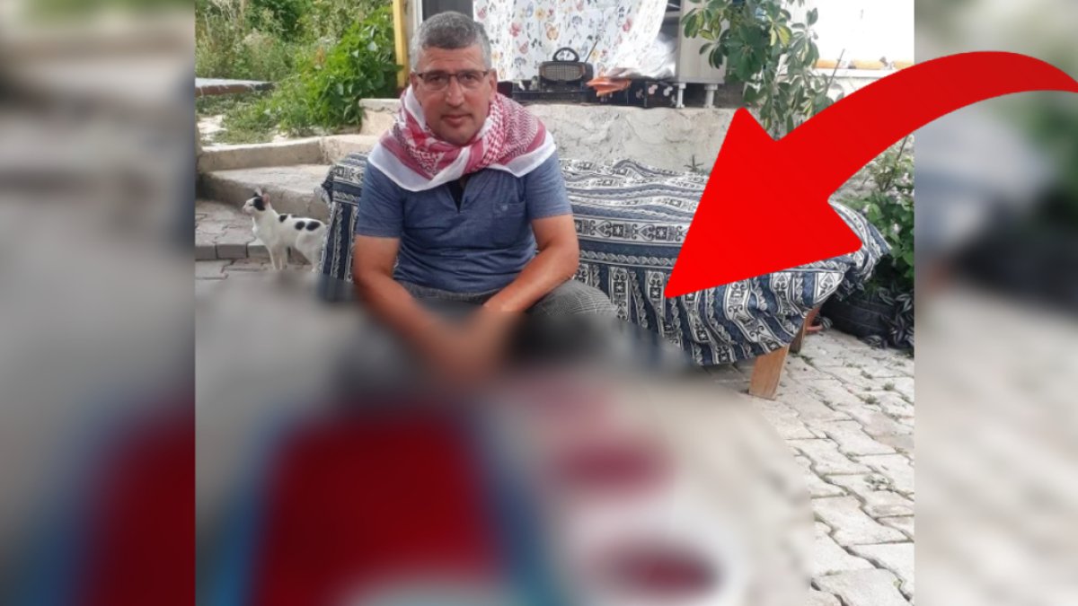 Yüzlerce kilo mahsul veriyor! Bunu üretenin cebi para görüyor! Kilosu 50 TL'den satılıyor!