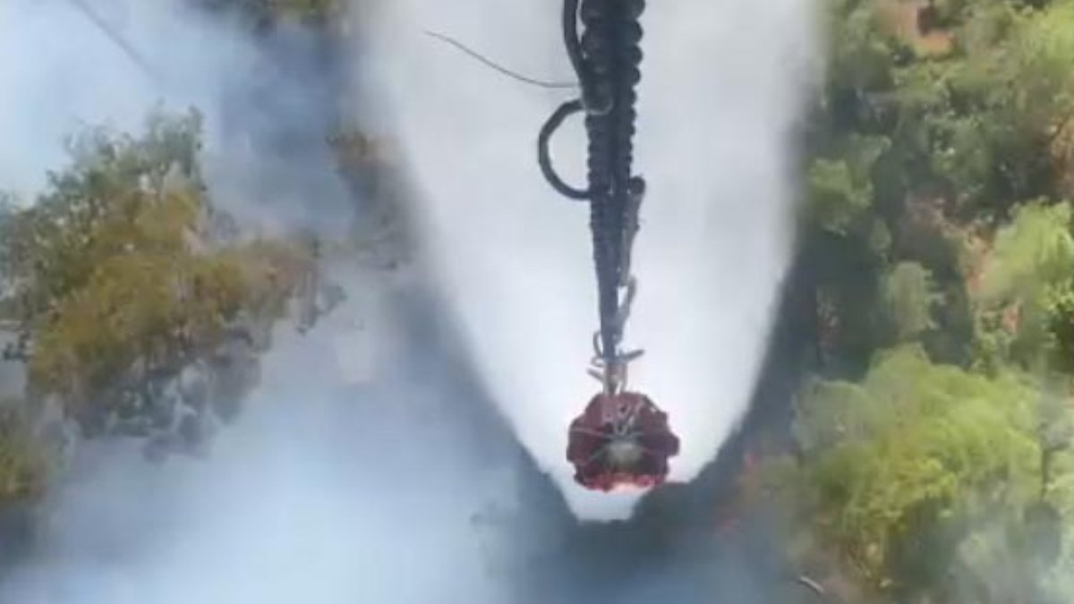 Kütahya'da orman yangını: 3 hektarlık alanda etkili