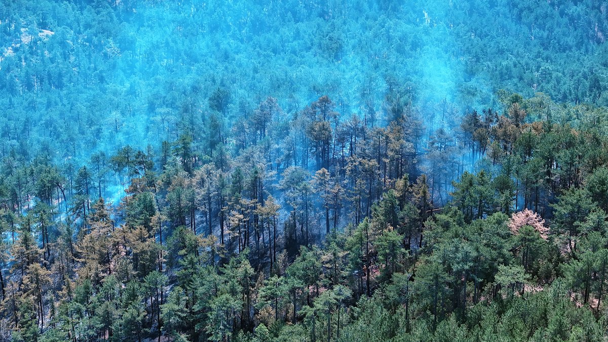 Bursa'daki orman yangını söndürüldü