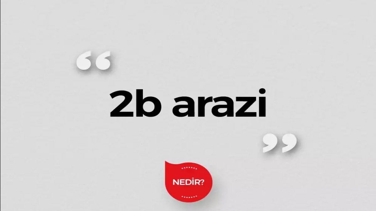 2B Arazi Nedir: Türkiye'de Toprak Mülkiyeti ve Kullanımı