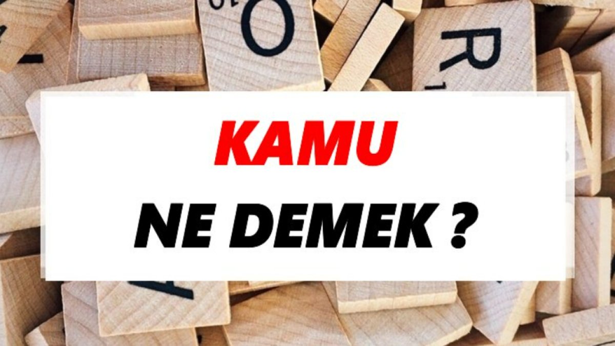 Kamu Ne Demek: Türkçede Kamu Kavramının Anlamı ve Önemi