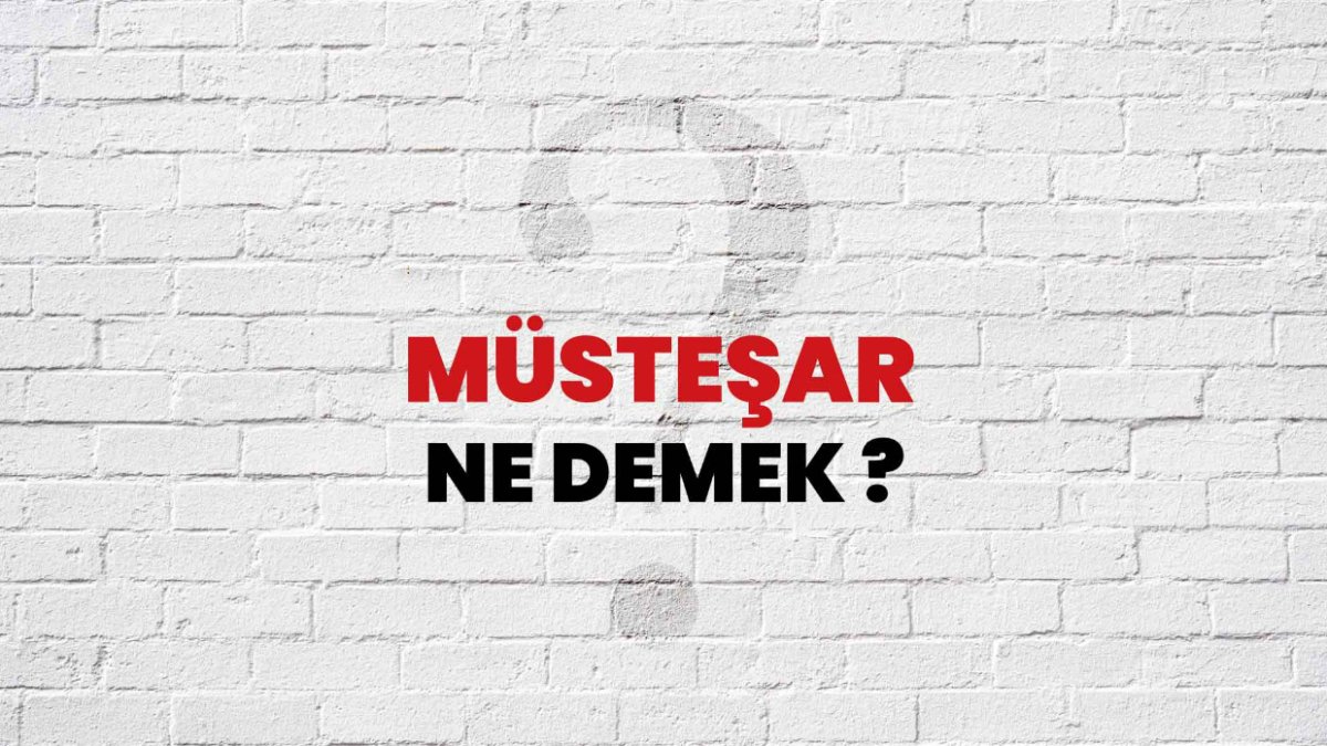Müsteşar Nedir?