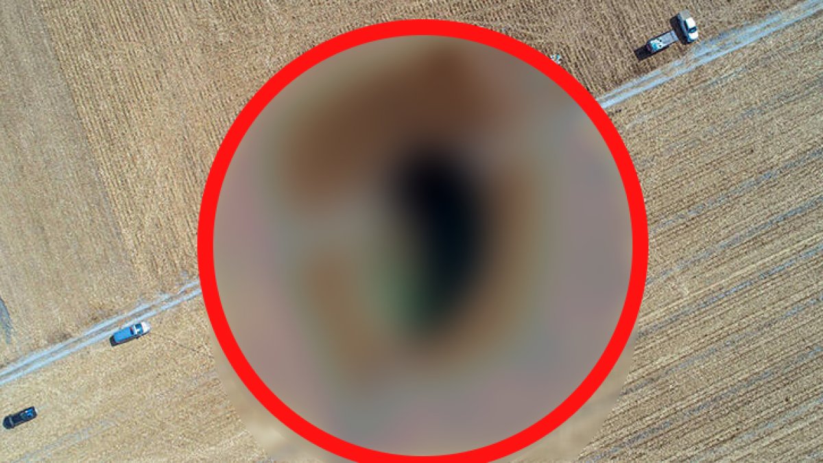 Türkiye'yi doyuran ilimiz yok olmak üzere! Sayısı 92 bini aştı... Uzmanlardan tarihi uyarı: Acil önlem alın yoksa...