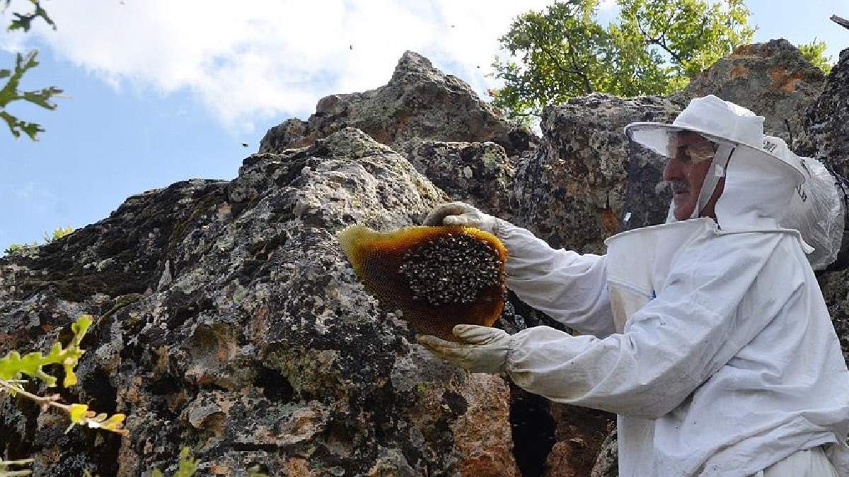 Dedesi mesleğin olsun diye öğretmişti! Şimdi herkes almak için sıraya diziliyor: Taştan çıkıyor, her derde deva oluyor