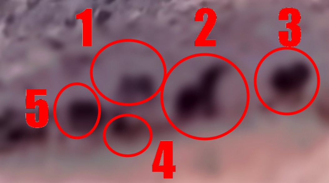 O ilde yaşayanlar! Kapınızı pencerenizi kapatın! O canavarlar şehre kadar indi! Önüne gelene saldırıyor!