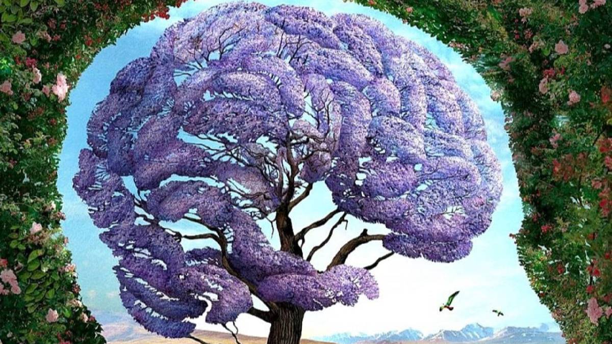 İlk gördüğün şey kişiliğini ortaya çıkarıyor! Tartışmacı, yapıcı, arabulucu, uzlaşmacı… Psikologlar da bu testi kullanıyor