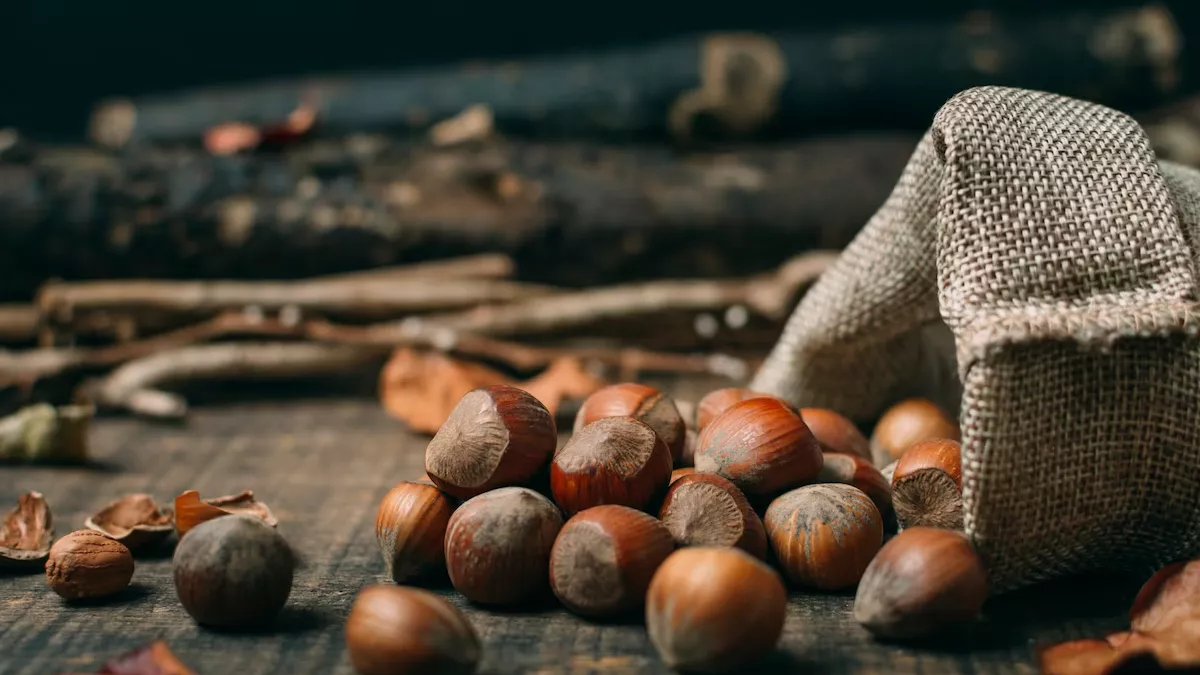 TMO'dan açıklama: Fındık alım fiyatlarına zam yapılacak mı?