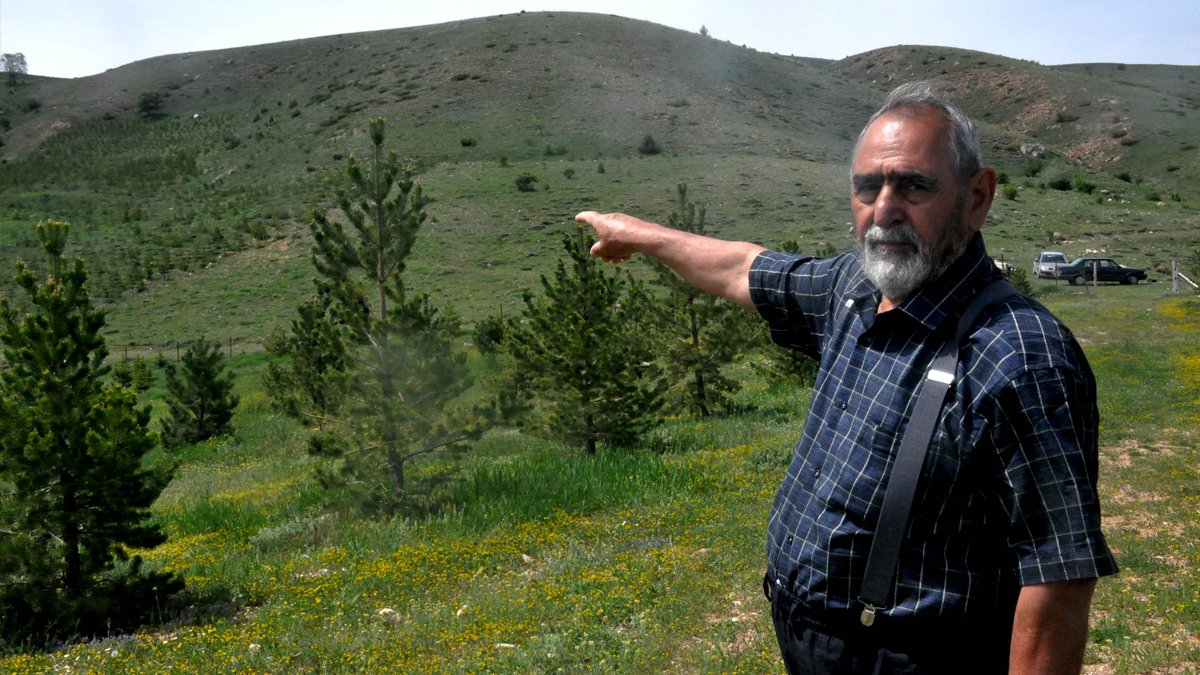 Çocukluk hayali için 12 bin çam fidanı dikmişti... Ormanda çıkan yangında hayatını kaybetti
