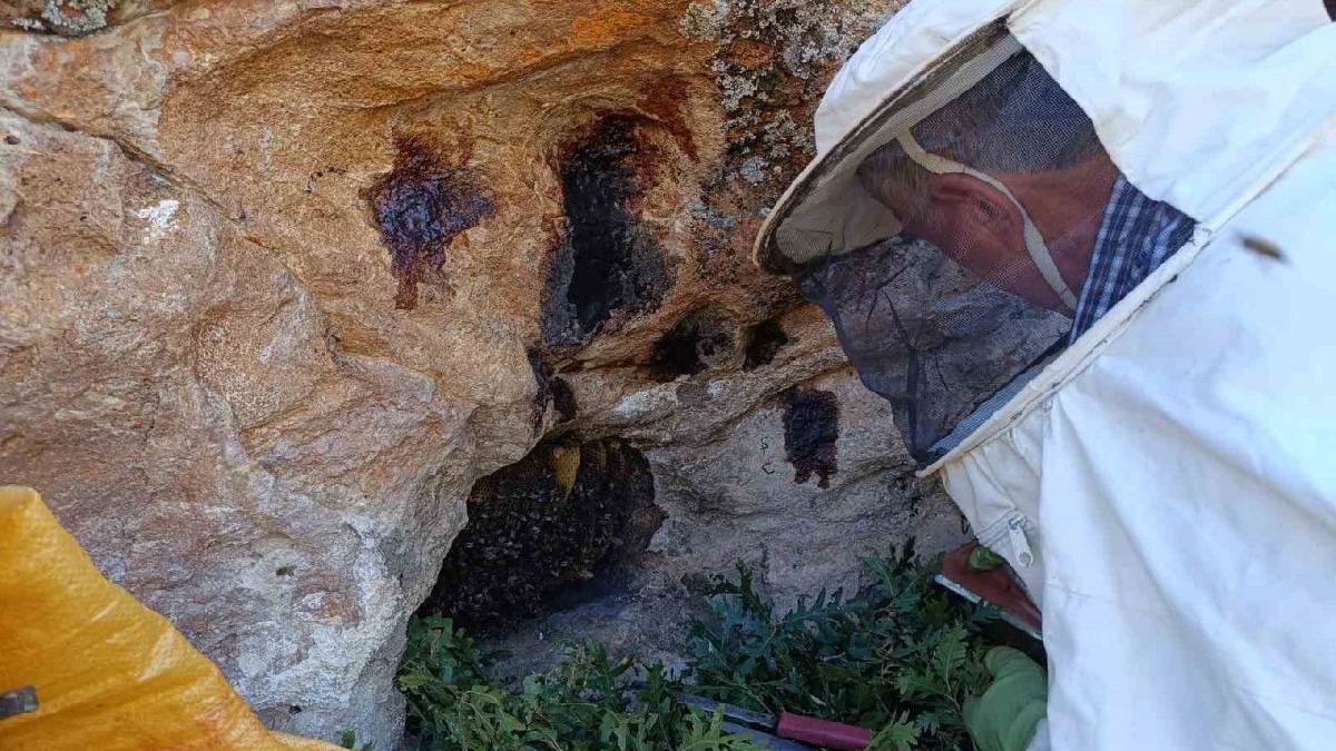 Ekmeğini gerçekten de taştan çıkardı! Dede sırrı kaşık kaşık gidiyor! Ne şeker ne kolesterol! Tüm çare taşta yatıyor