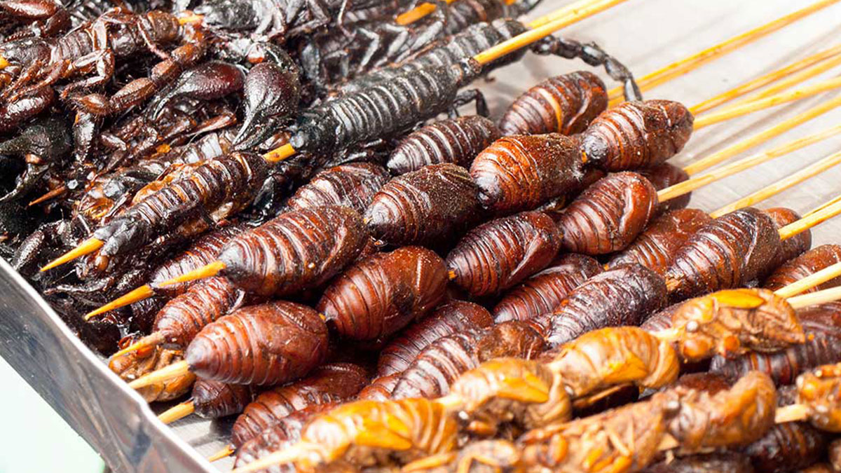 Meğer böcek yemenin sağlığa öyle faydaları varmış ki, duyanlar şaştı kaldı! Bilimsel araştırmadan çarpıcı sonuçlar
