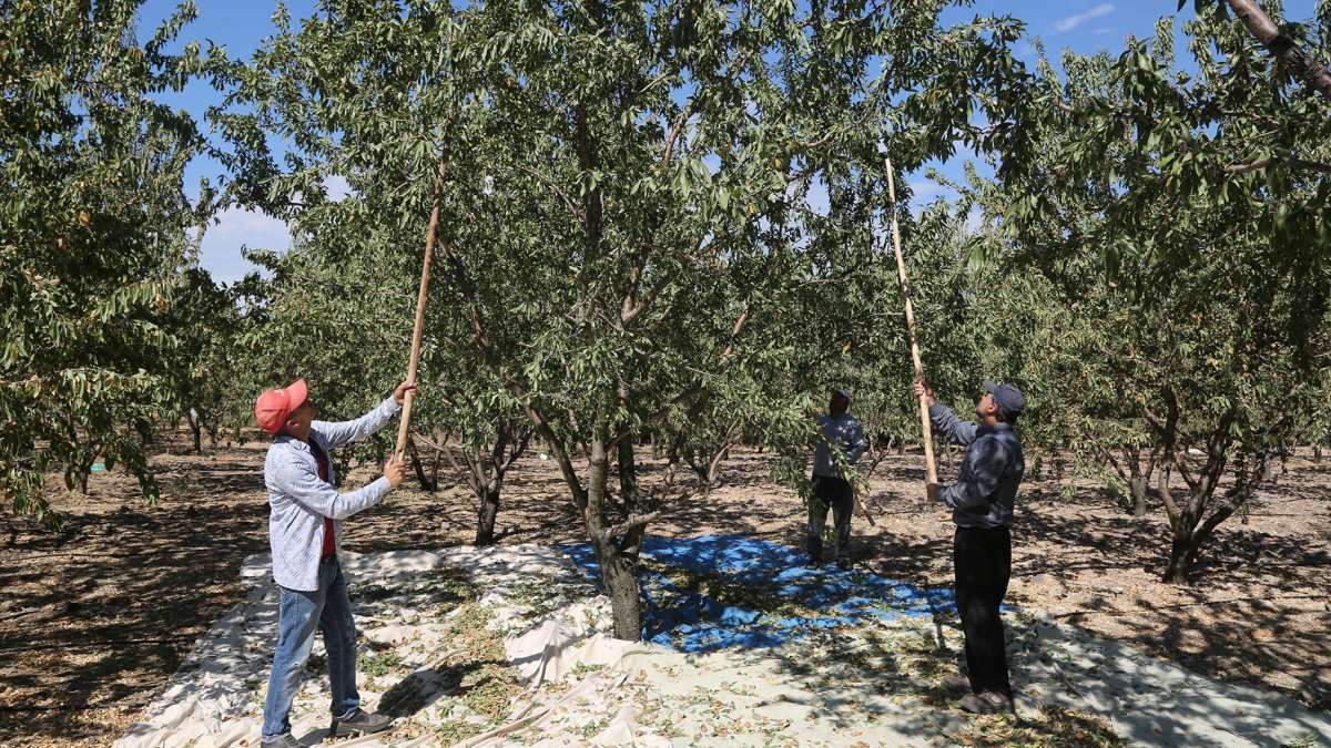 Fiyatlar arttı, üretici yine de memnun olmadı! O ürünü yemek resmen lüks oldu: 300 gramı 48 TL