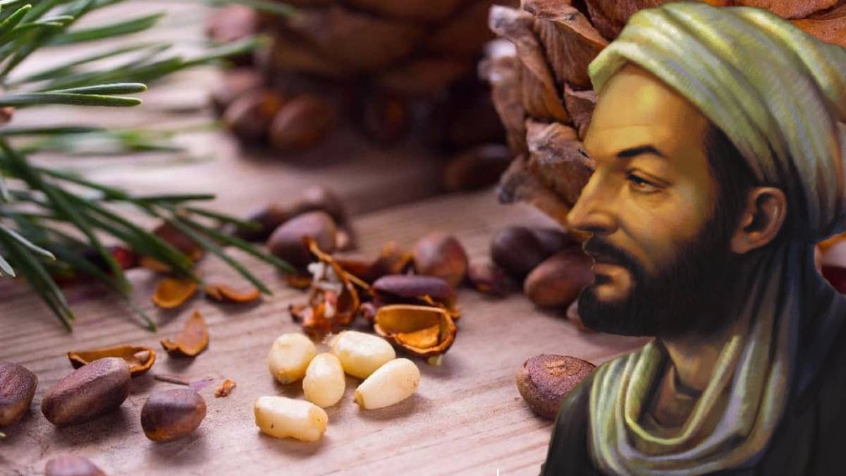 Ölümsüzlüğün sırrı bu 3 besinden geçiyor! İbn-i Sina’nın gizli sırları açığa çıktı: 100 yaşına kadar hastalık uğramıyor