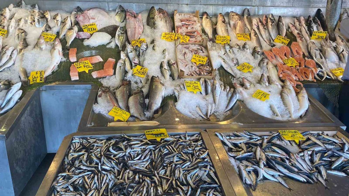 Balıkçılardan devlete yardım çağrısı: Mazot desteği verilsin, hal giderleri düşürülsün