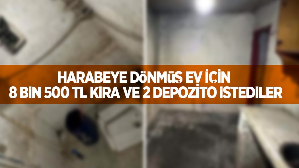 Köpek bağlasan durmaz! Bu evin kirasını gören gözlerine inanamadı, bir de depozito istiyorlar