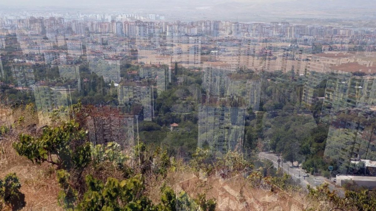 Türkülere konu olmuştu... Gesi bağları betonlaşmaya terk edildi