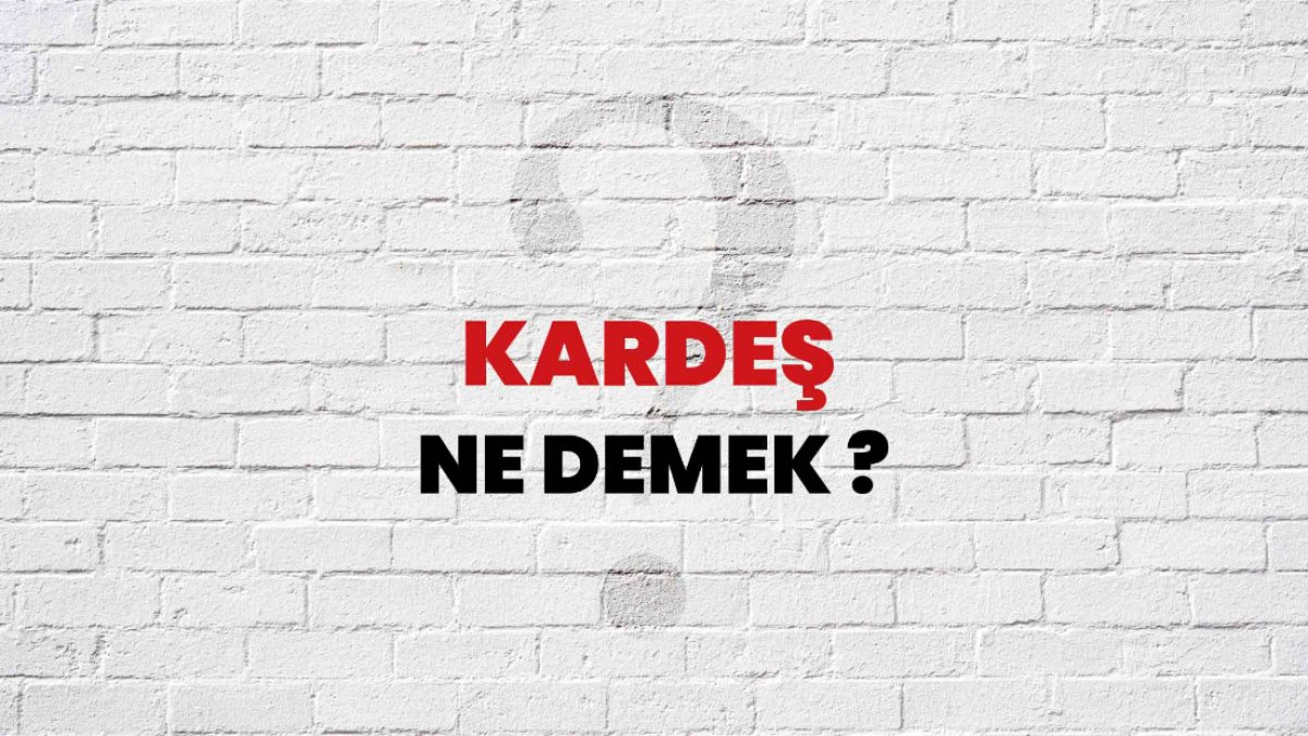 Kardeş Ne Demek? Türkçede Kardeşlik Kavramı