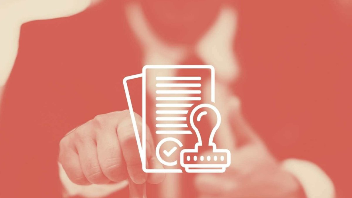 Ruhsat No Nedir: İşte Detaylı Bir Anlatım