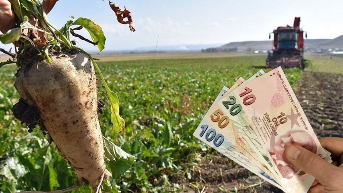 Tarım ve Orman Bakanı Yumaklı'dan müjde! Pancar üreticilerine 728 milyon 74 bin TL avanslar hesaplara yatırılıyor