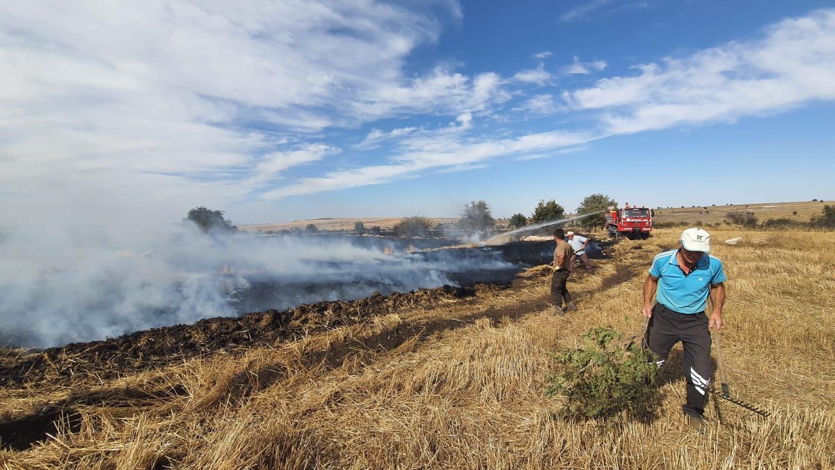 Eskişehir'de orman yangını