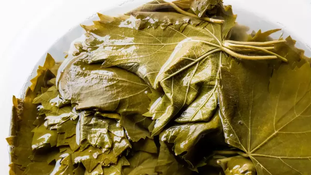 Yaprağın lezzetine lezzet katıyor! Salamura yaprak bu usulle erir ne bozulur, yıllarca tazecik kalıyor