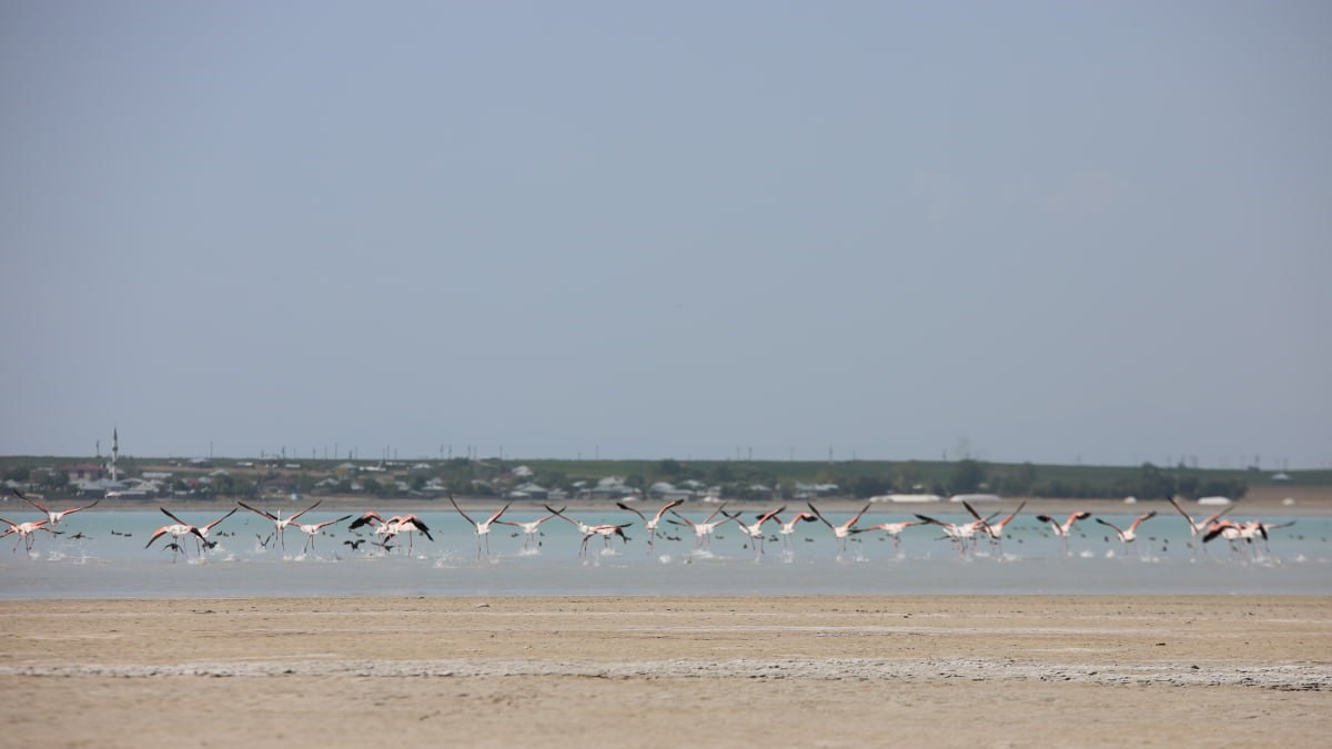 Bitlis'in doğa harikası: Arin Gölü tabloları aratmıyor