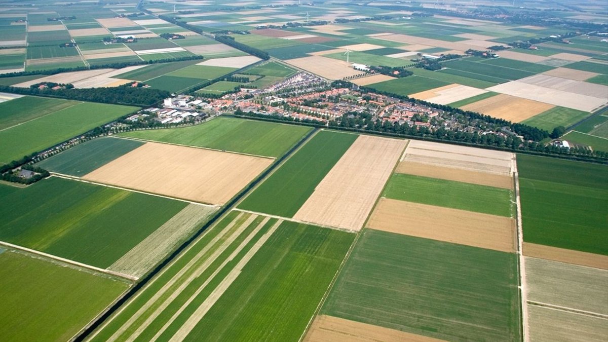 Konuttaki artış yatırımcıları toprağa yöneltti: Arsa ve tarla fiyatları uçtu