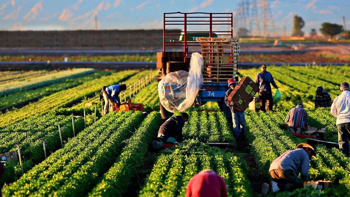 Bakanlıktan yeni düzenleme: Miras kalan toprağı 'işleme' şartı