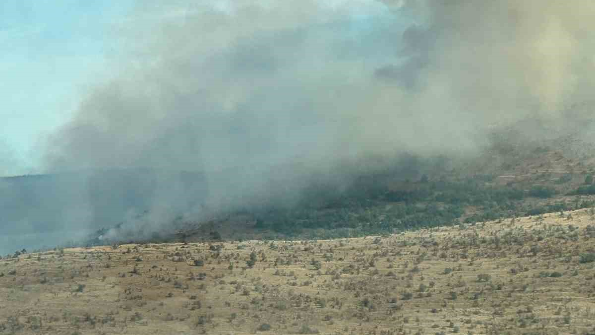 Çankırı'da orman yangını: Dumanlar gökyüzünü kapladı