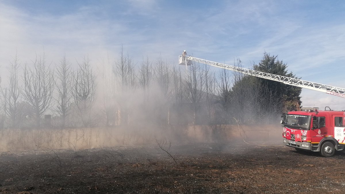 Otluk alanda başlayan yangın villanın çatısına sıçradı